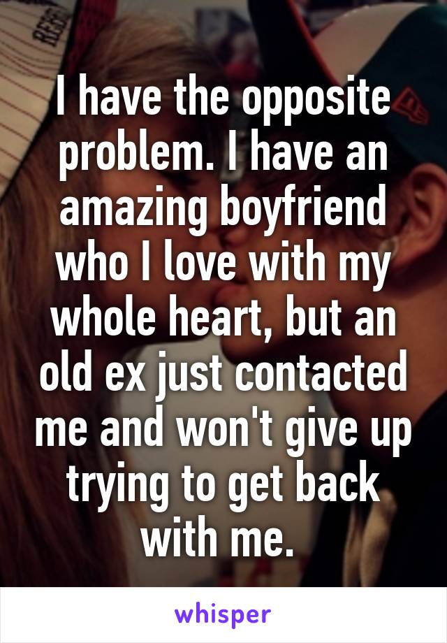 I have the opposite problem. I have an amazing boyfriend who I love with my whole heart, but an old ex just contacted me and won't give up trying to get back with me. 