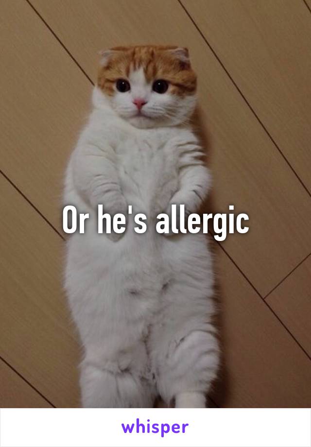 Or he's allergic