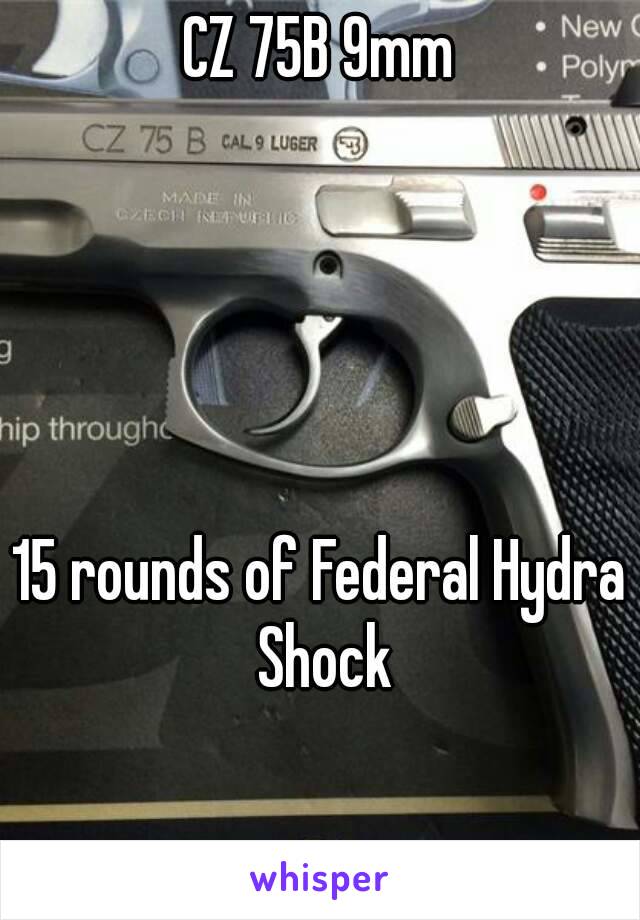 CZ 75B 9mm





15 rounds of Federal Hydra Shock