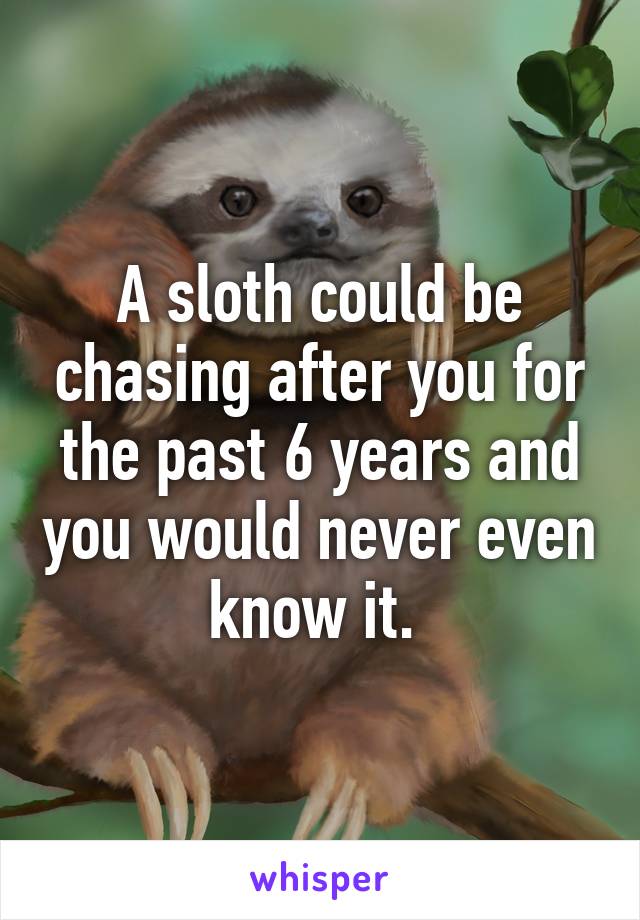 A sloth could be chasing after you for the past 6 years and you would never even know it. 