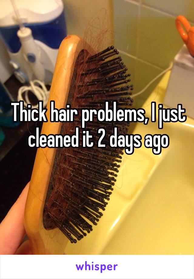 Thick hair problems, I just cleaned it 2 days ago