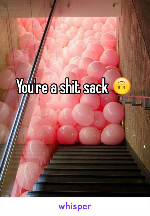 You're a shit sack 🙃