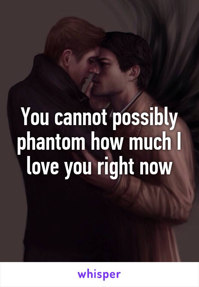 You cannot possibly phantom how much I love you right now