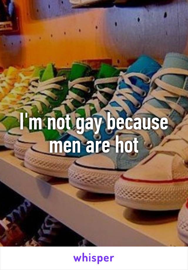 I'm not gay because men are hot