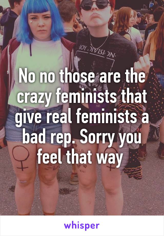 No no those are the crazy feminists that give real feminists a bad rep. Sorry you feel that way 