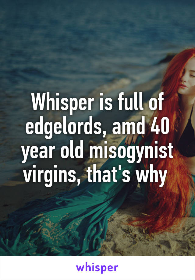 Whisper is full of edgelords, amd 40 year old misogynist virgins, that's why 