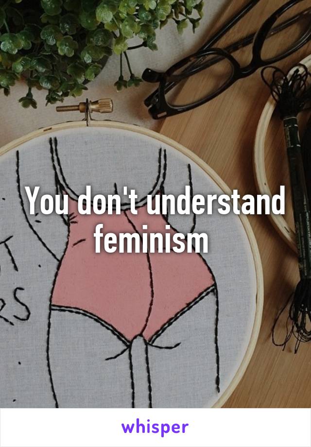 You don't understand feminism 