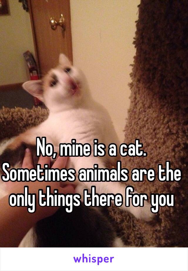 No, mine is a cat.  Sometimes animals are the only things there for you