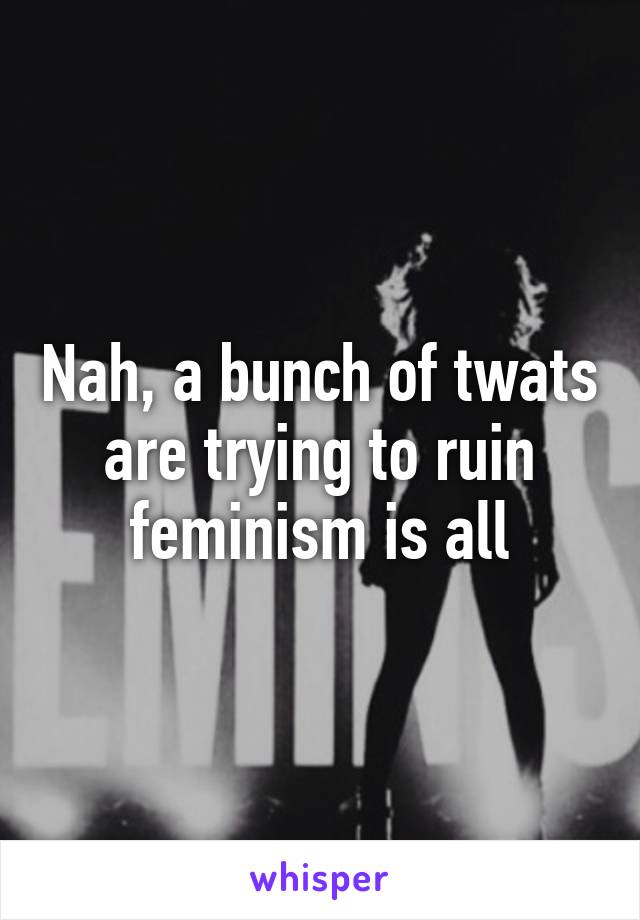 Nah, a bunch of twats are trying to ruin feminism is all