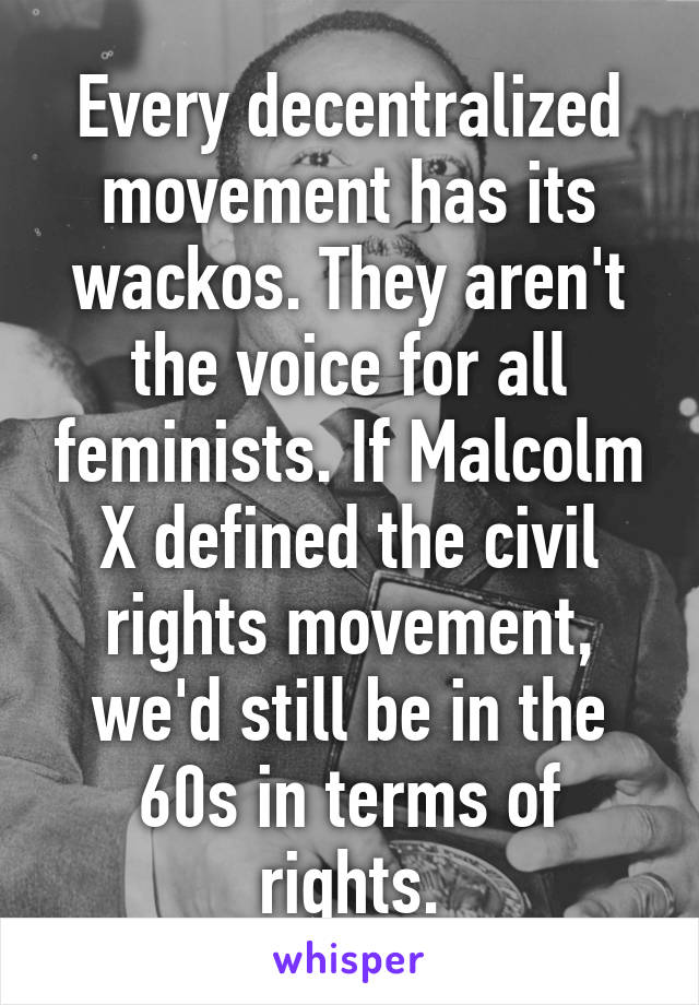 Every decentralized movement has its wackos. They aren't the voice for all feminists. If Malcolm X defined the civil rights movement, we'd still be in the 60s in terms of rights.