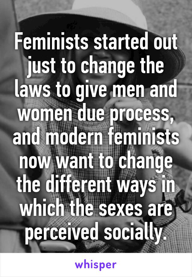 Feminists started out just to change the laws to give men and women due process, and modern feminists now want to change the different ways in which the sexes are perceived socially.