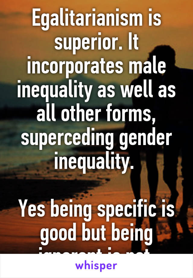 Egalitarianism is superior. It incorporates male inequality as well as all other forms, superceding gender inequality. 

Yes being specific is good but being ignorant is not.