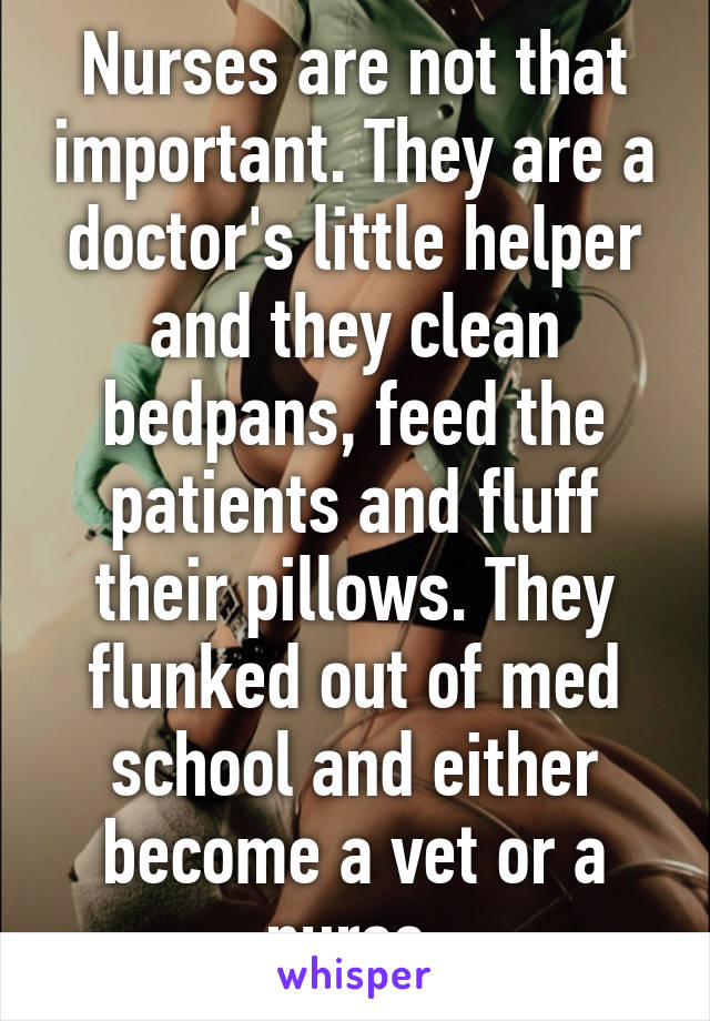 Nurses are not that important. They are a doctor's little helper and they clean bedpans, feed the patients and fluff their pillows. They flunked out of med school and either become a vet or a nurse.