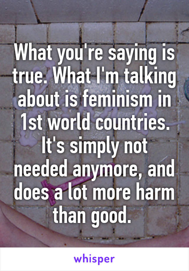 What you're saying is true. What I'm talking about is feminism in 1st world countries. It's simply not needed anymore, and does a lot more harm than good. 