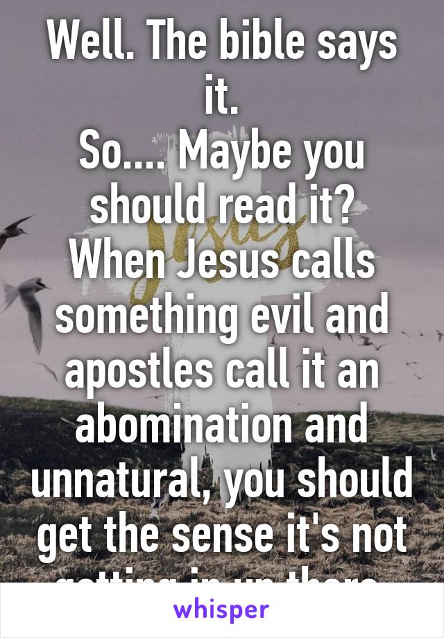 Well. The bible says it.
So.... Maybe you should read it?
When Jesus calls something evil and apostles call it an abomination and unnatural, you should get the sense it's not getting in up there.