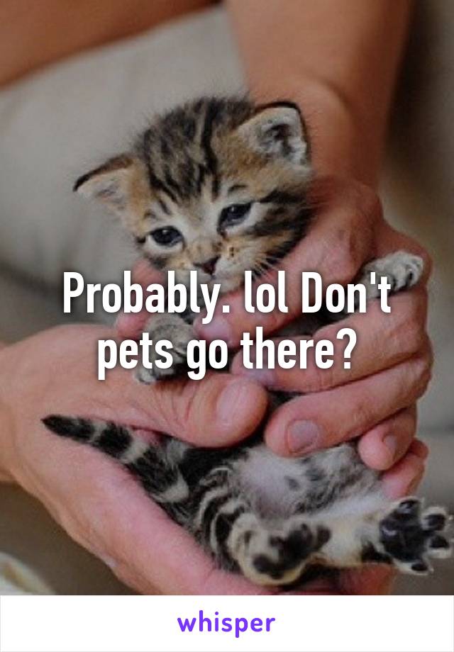 Probably. lol Don't pets go there?