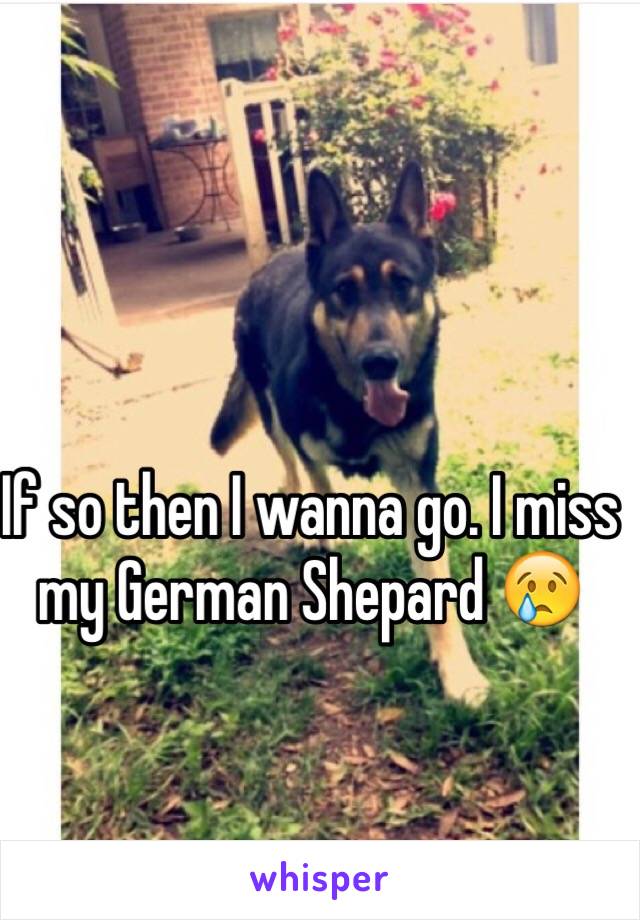 If so then I wanna go. I miss my German Shepard 😢