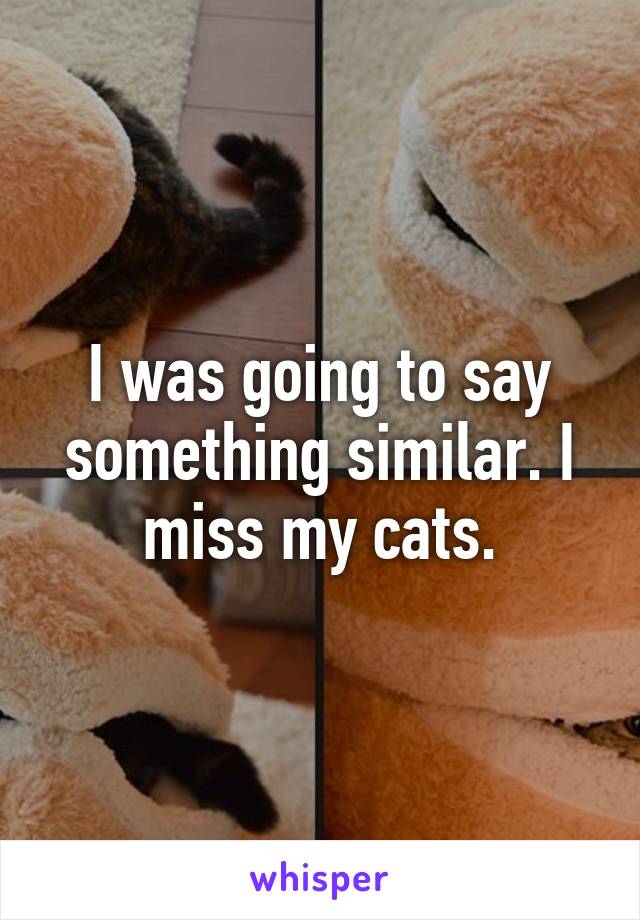 I was going to say something similar. I miss my cats.