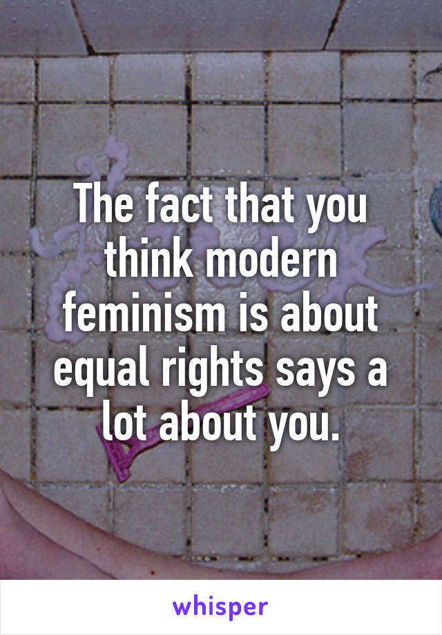 The fact that you think modern feminism is about equal rights says a lot about you.