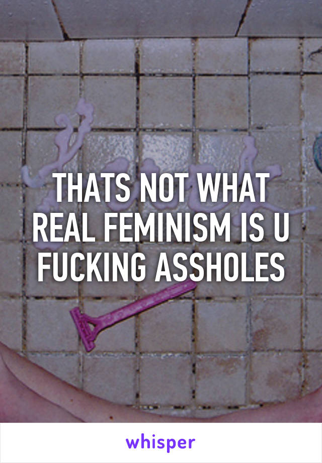 THATS NOT WHAT REAL FEMINISM IS U FUCKING ASSHOLES