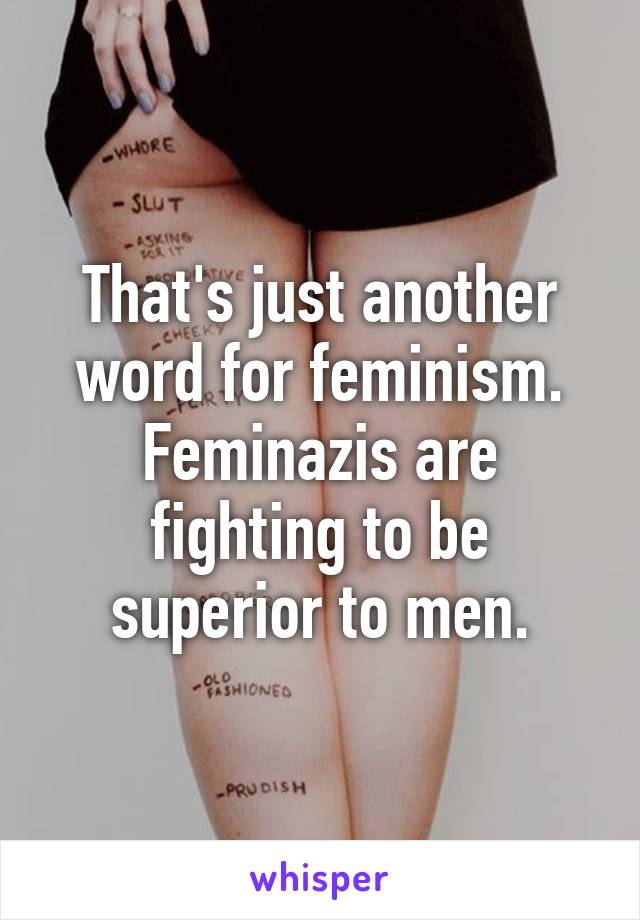 That's just another word for feminism. Feminazis are fighting to be superior to men.