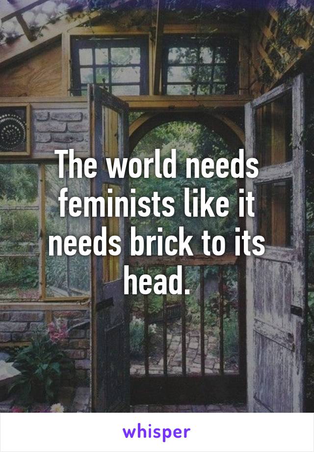 The world needs feminists like it needs brick to its head.