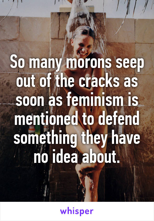 So many morons seep out of the cracks as soon as feminism is mentioned to defend something they have no idea about.