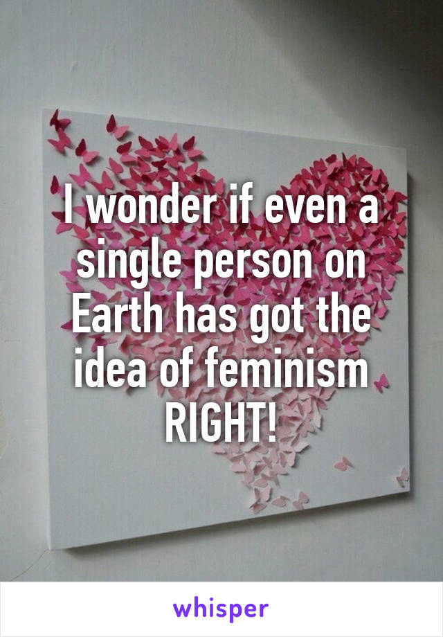 I wonder if even a single person on Earth has got the idea of feminism RIGHT!