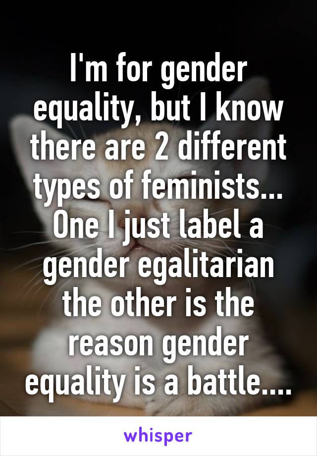 I'm for gender equality, but I know there are 2 different types of feminists... One I just label a gender egalitarian the other is the reason gender equality is a battle....
