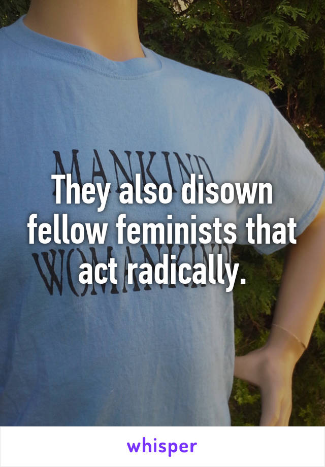 They also disown fellow feminists that act radically.