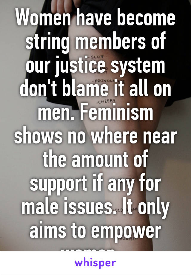 Women have become string members of our justice system don't blame it all on men. Feminism shows no where near the amount of support if any for male issues. It only aims to empower women.  