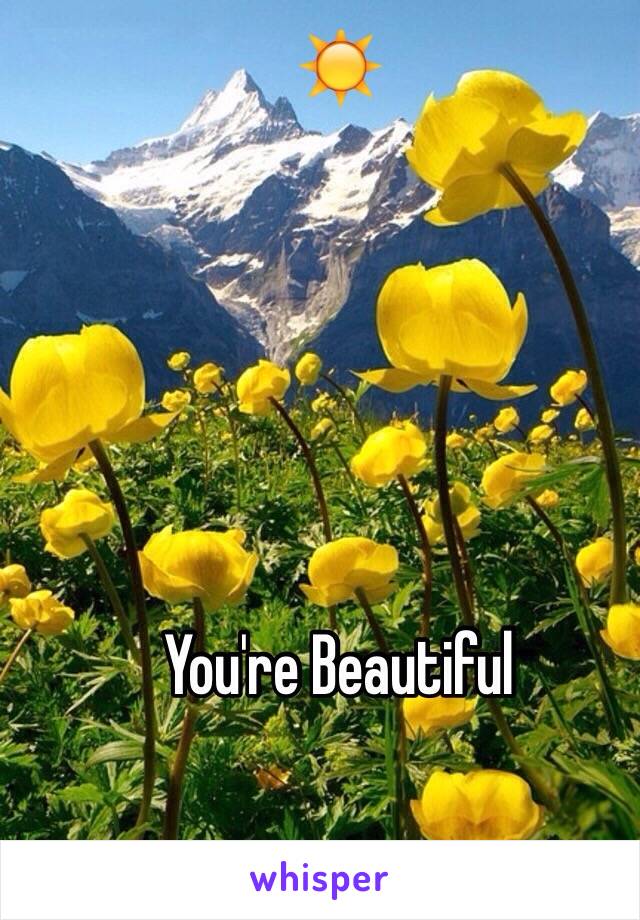 ☀️






You're Beautiful 