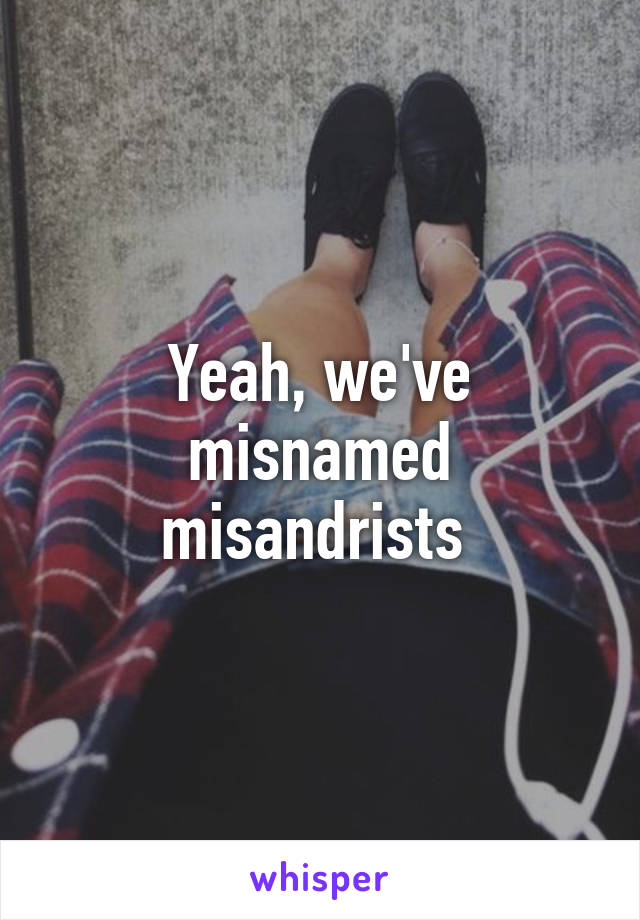 Yeah, we've misnamed misandrists 