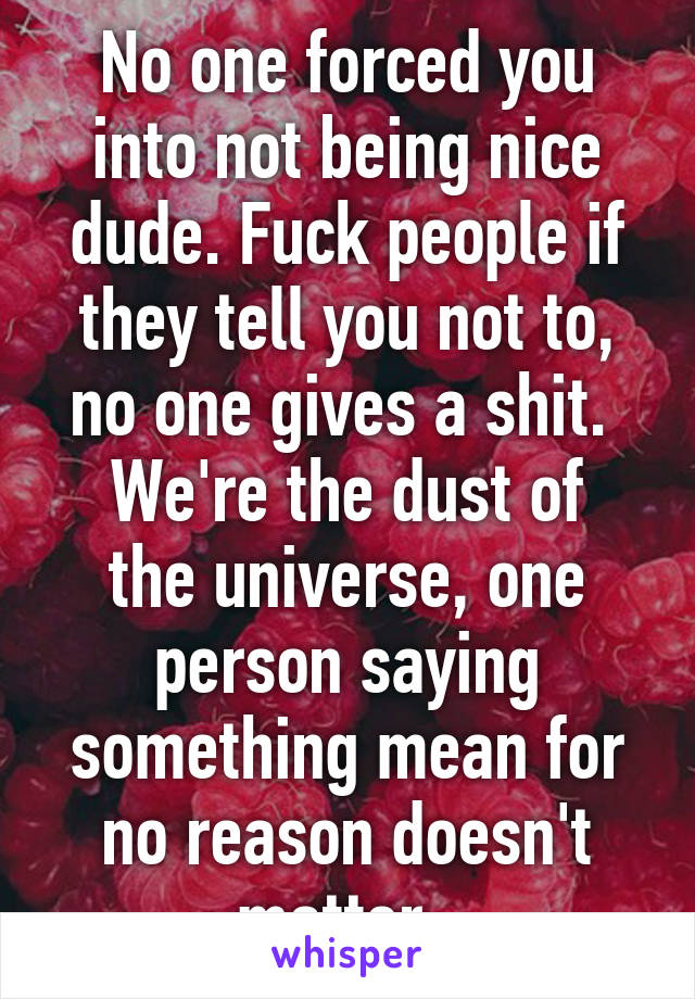 No one forced you into not being nice dude. Fuck people if they tell you not to, no one gives a shit. 
We're the dust of the universe, one person saying something mean for no reason doesn't matter. 