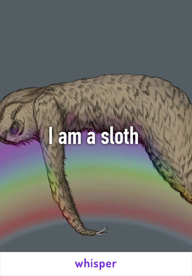I am a sloth 