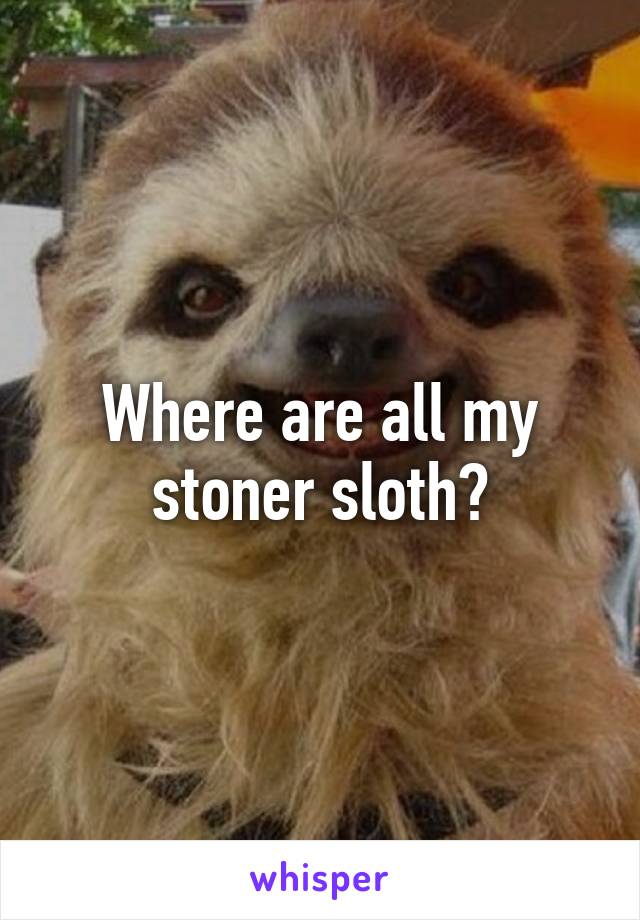 Where are all my stoner sloth?