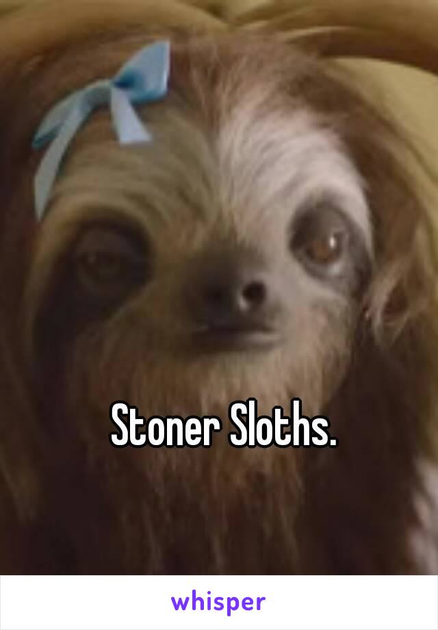 Stoner Sloths.