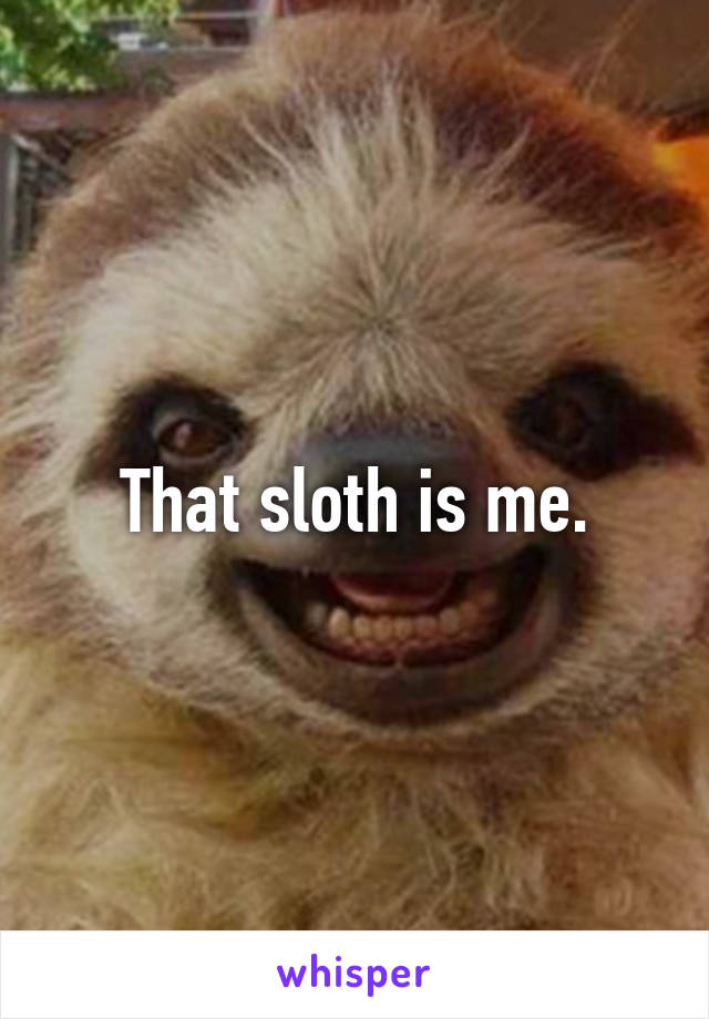 That sloth is me.