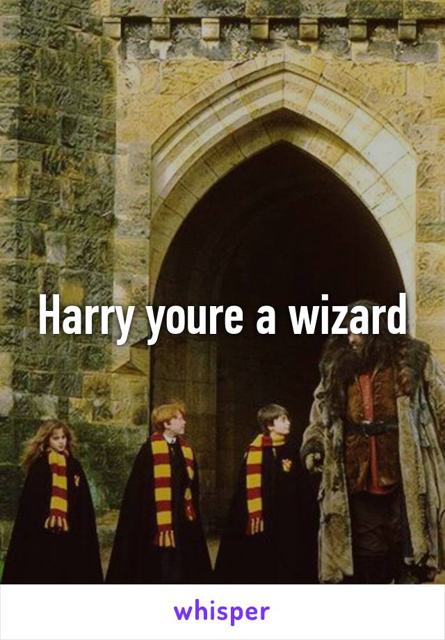 Harry youre a wizard