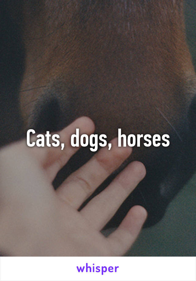 Cats, dogs, horses