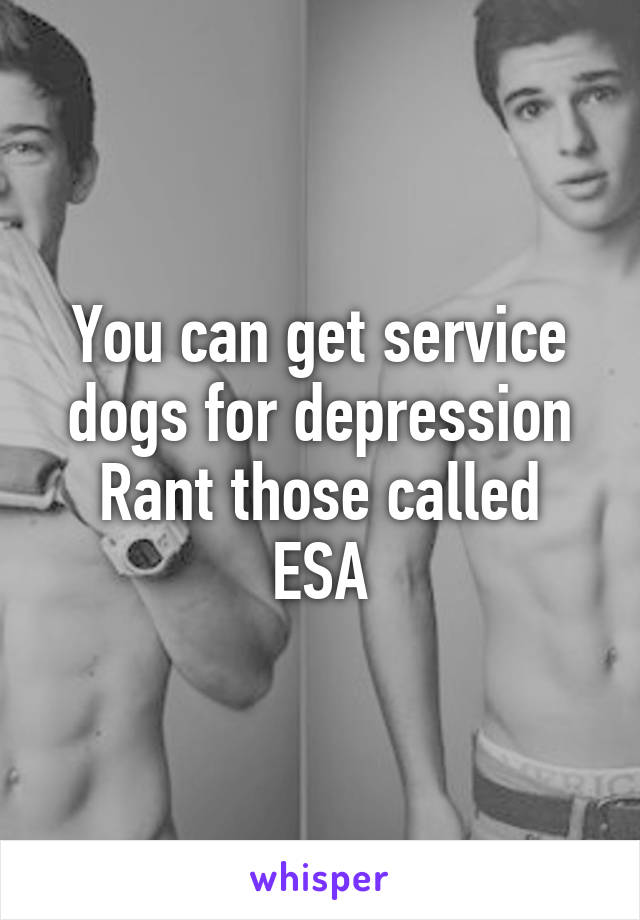 You can get service dogs for depression
Rant those called ESA