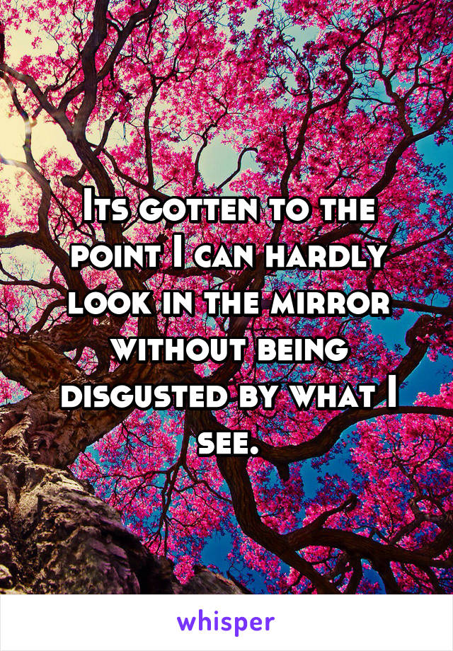 Its gotten to the point I can hardly look in the mirror without being disgusted by what I see.
