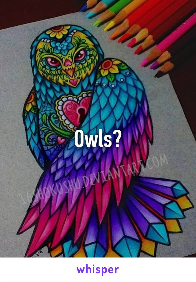 Owls?