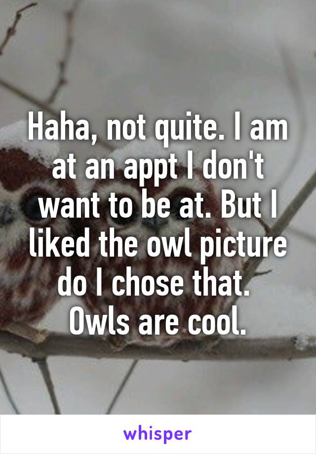 Haha, not quite. I am at an appt I don't want to be at. But I liked the owl picture do I chose that. 
Owls are cool.