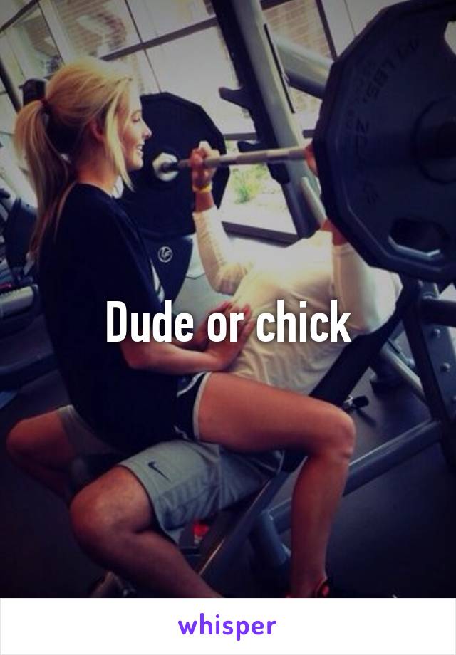 Dude or chick