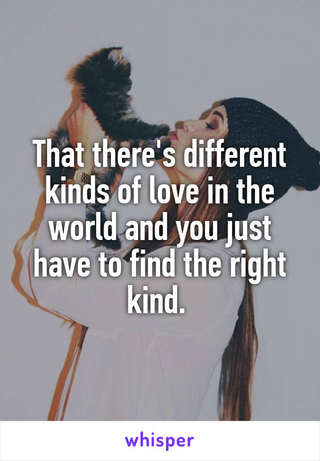 That there's different kinds of love in the world and you just have to find the right kind. 
