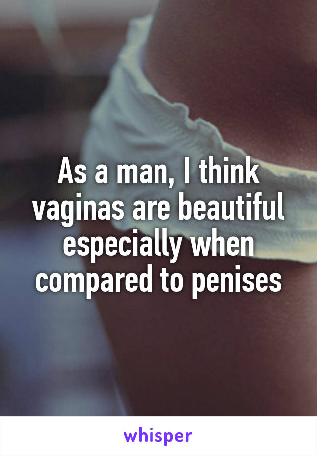 As a man, I think vaginas are beautiful especially when compared to penises