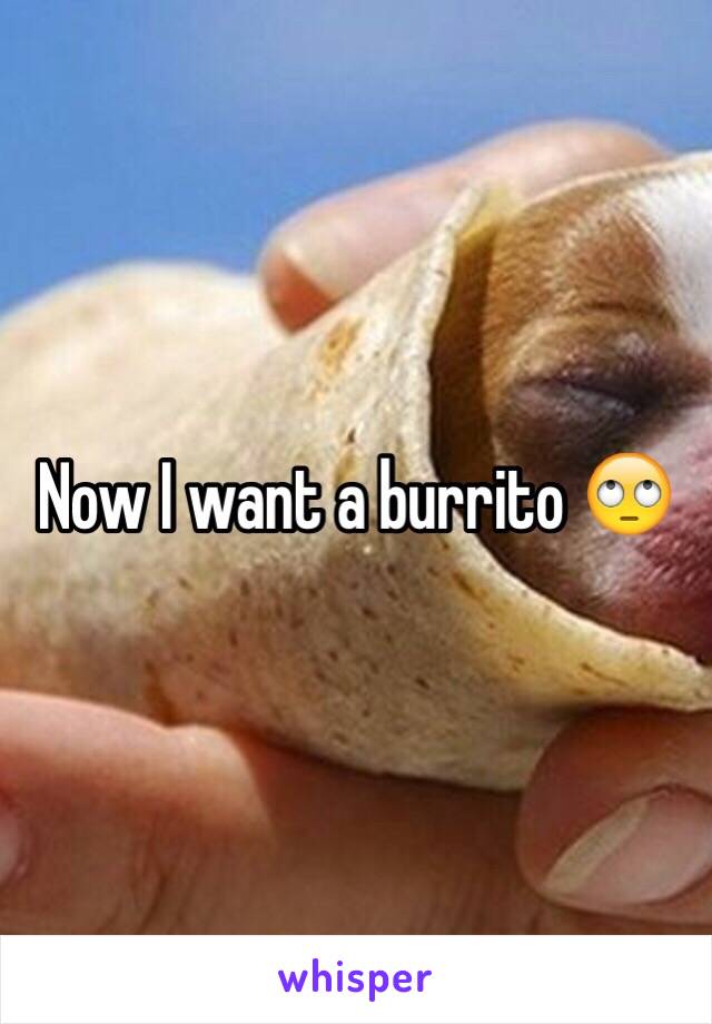 Now I want a burrito 🙄