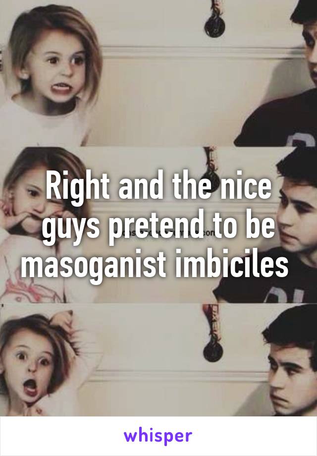 Right and the nice guys pretend to be masoganist imbiciles 