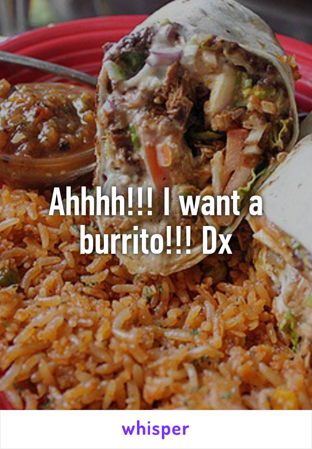 Ahhhh!!! I want a burrito!!! Dx